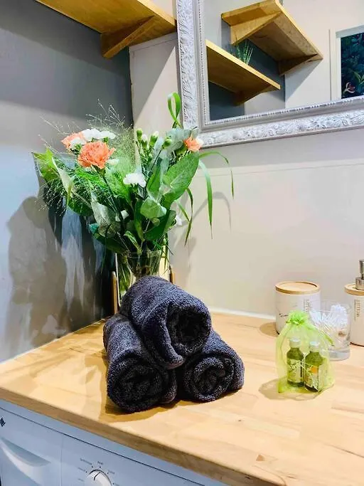Apartmán T2 Cosy Climatise 5 Min Aeroport Blagnac